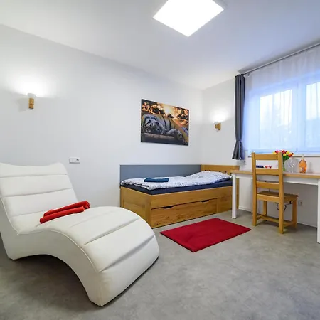 Apartment Volavka 1 *