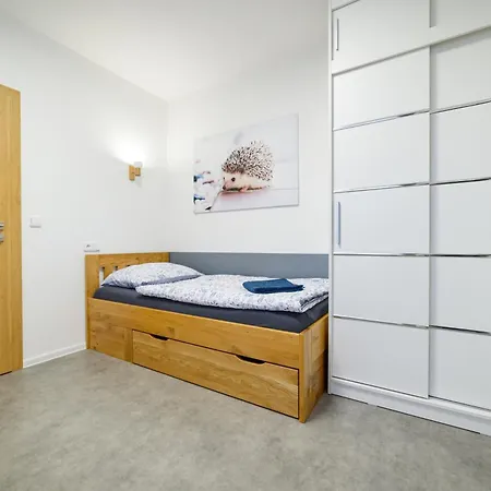 Apartment Volavka 1 *